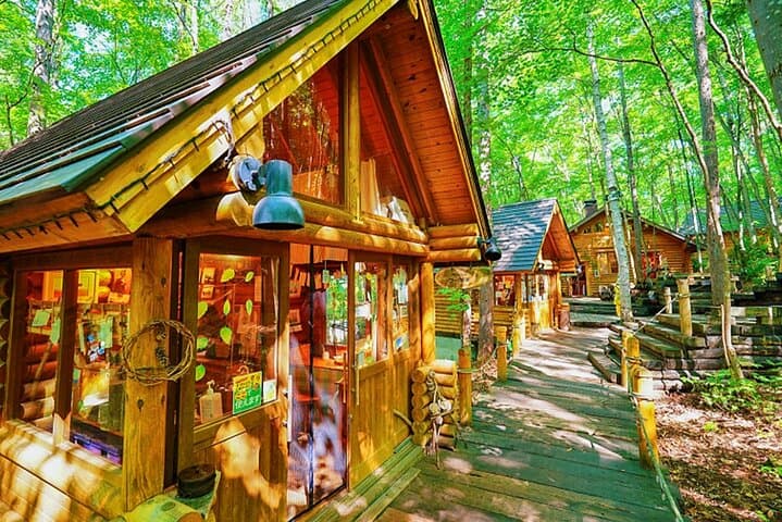 Hokkaido 1 Day Tour to Asahiyama Zoo, Blue Pond and Fairy Terrace — photo 8
