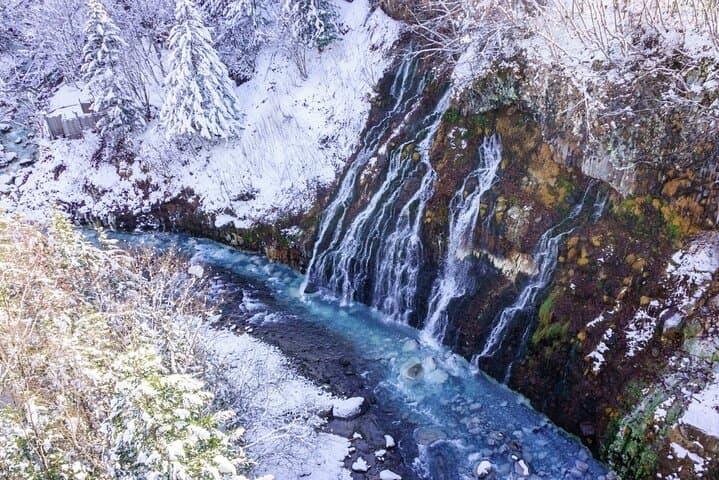 Hokkaido 1 Day Tour to Asahiyama Zoo, Blue Pond and Fairy Terrace — photo 11