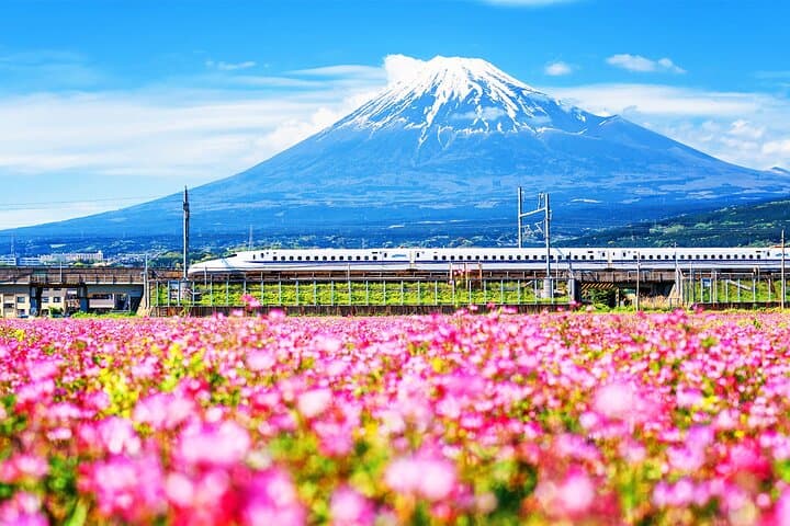 Mt. Fuji and Hakone Day Tour with Bullet Train Return — photo 5