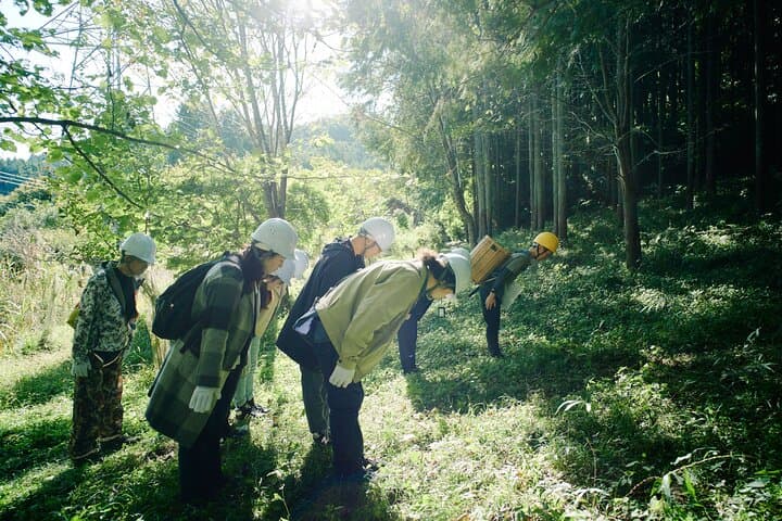 Trees & Tradition: The Living Forest Behind Japanese Architecture — photo 15