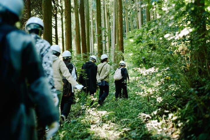Trees & Tradition: The Living Forest Behind Japanese Architecture — photo 4