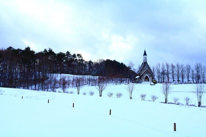 From Nagoya: Snow Day in the Japan Alps & Shirakawago — photo 5
