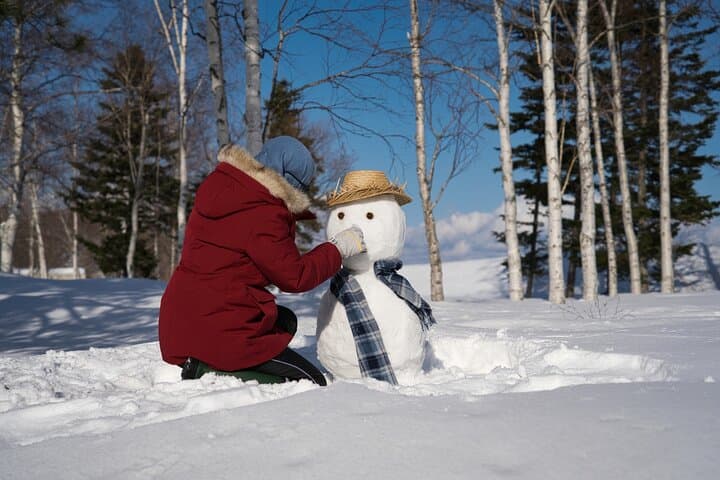 From Nagoya: Snow Day in the Japan Alps & Shirakawago — photo 3