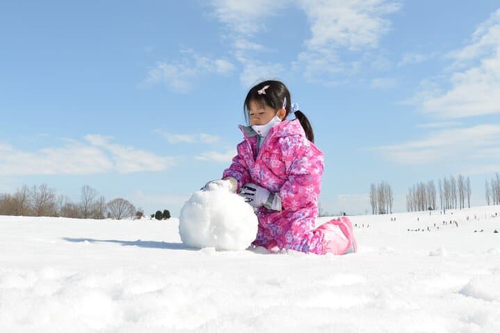 From Nagoya: Snow Day in the Japan Alps & Shirakawago — photo 6