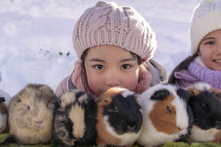 From Nagoya: Snow Day in the Japan Alps & Shirakawago — photo 9