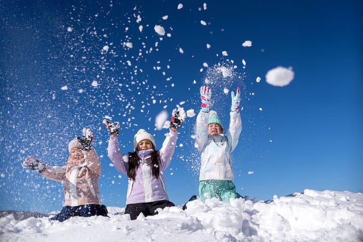 From Nagoya: Snow Day in the Japan Alps & Shirakawago — photo 10