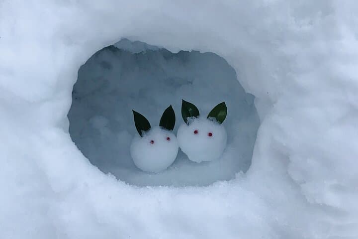 From Nagoya: Snow Day in the Japan Alps & Shirakawago — photo 11