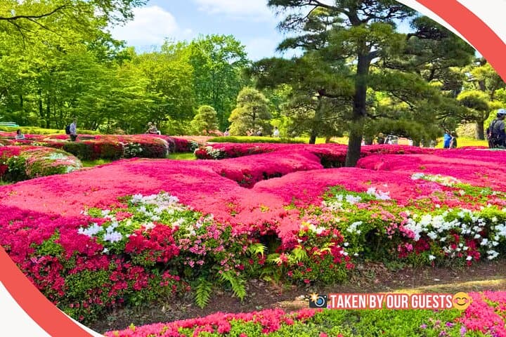 Tokyo Castle, Imperial Palace, Shogun & Garden Walking Tour — photo 17