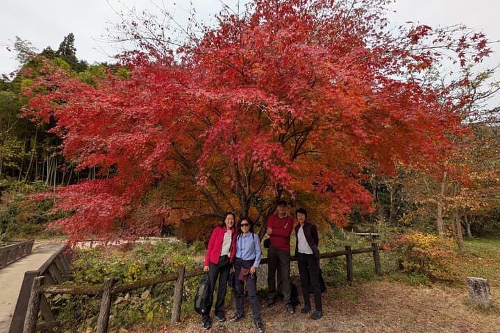 Nakasendo Magome Private Hiking Tour – Guide & Car from Nagoya — photo 4