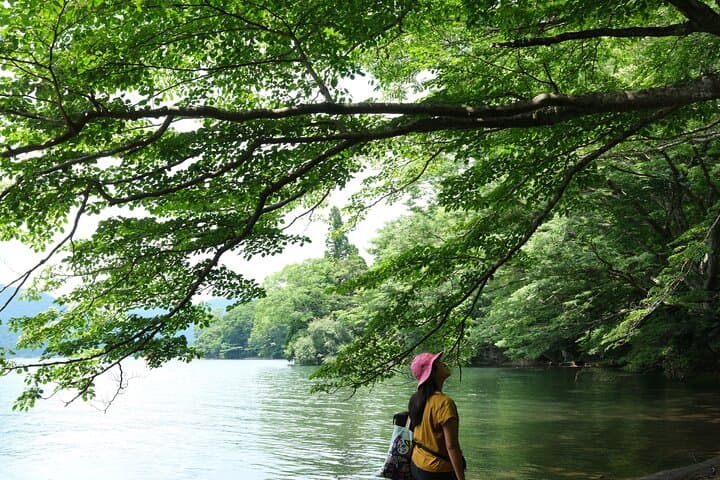 Shinrin Yoku / Forest Bathing at Hakone Lakeshore (Lake Ashi) — photo 6