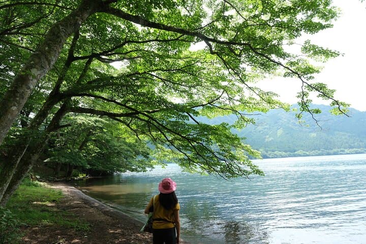 Shinrin Yoku / Forest Bathing at Hakone Lakeshore (Lake Ashi) — photo 11