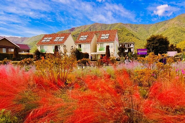 Mt Fuji and Lake Kawaguchi 1-Day Luxury Bus Tour From Tokyo — photo 13