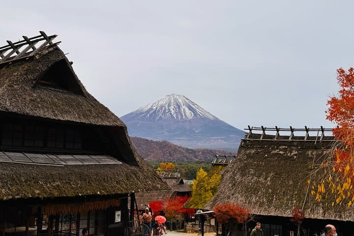 Mt Fuji and Lake Kawaguchi 1-Day Luxury Bus Tour From Tokyo — photo 16