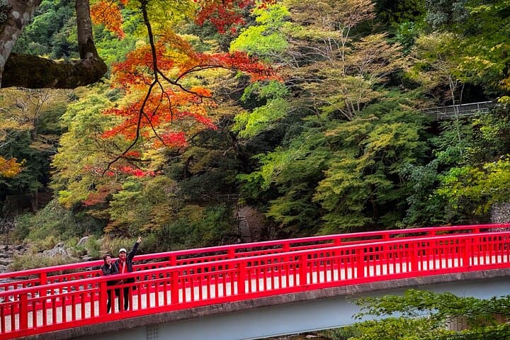 From Nagoya: Discover Aichi — Korankei, Miso, & Inari Shrine — photo 3