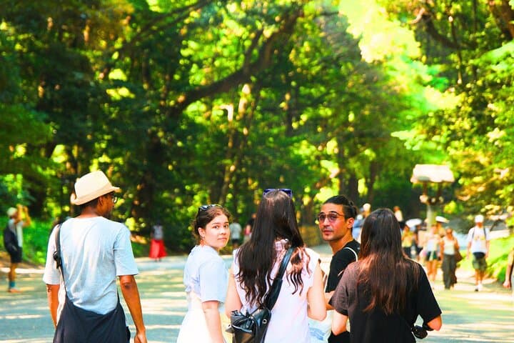 Tokyo Meiji Shrine & Harajuku: Walk Through Japanese Culture — photo 14