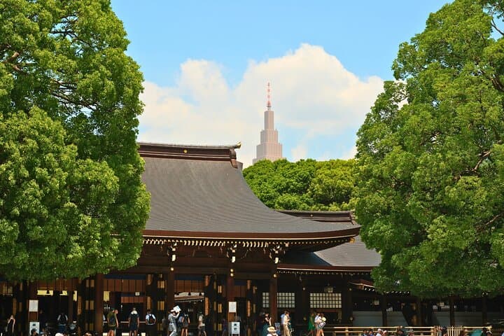 Tokyo Meiji Shrine & Harajuku: Walk Through Japanese Culture — photo 15