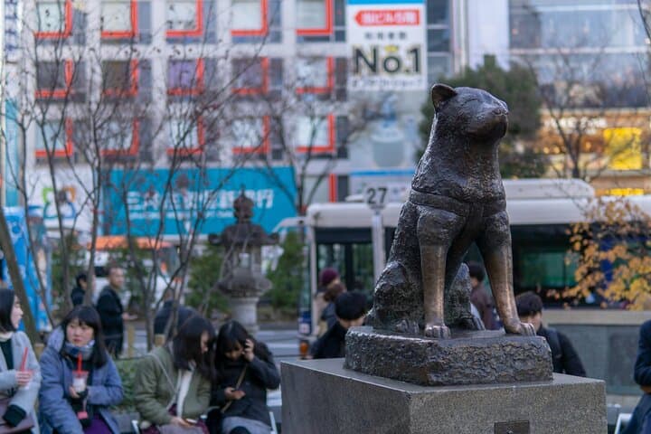 Tokyo: Big Highlights - Asakusa, Shibuya & Meiji Shrine tour — photo 7