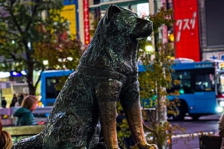Tokyo Full-Day Private Walking Tour – Fully Personalized — photo 5