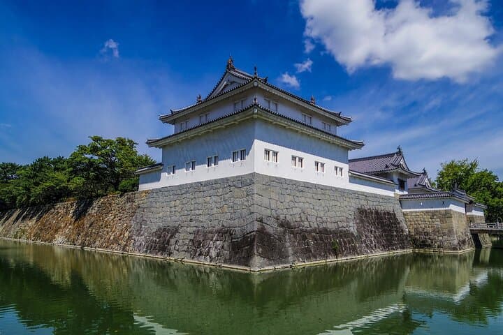 Private Shizuoka History Tour in Kunozan Toshogu and Sunpu Castle — photo 5