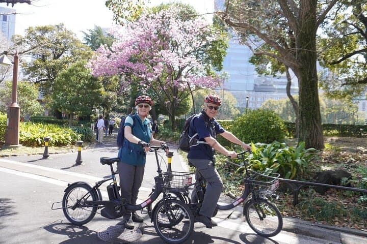Tokyo Imperial Palace 2h Private E-bike at your pace. — photo 3