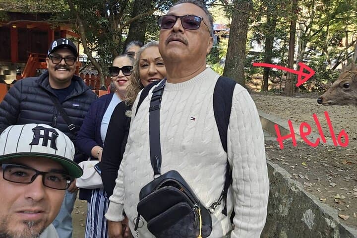 Nara Day Trip from Osaka – Local Japanese Experienced Guide — photo 4