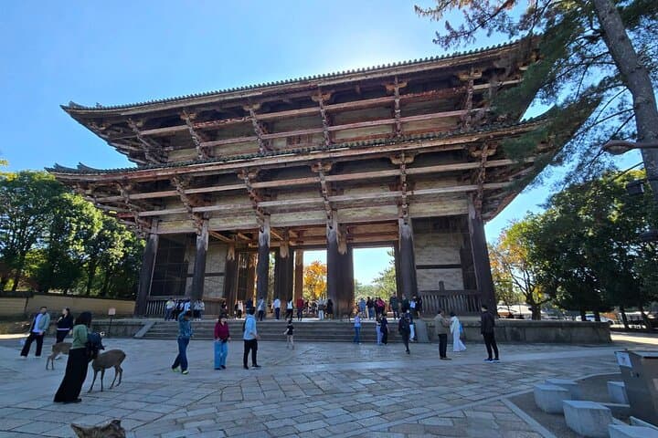 Nara Day Trip from Osaka – Local Japanese Experienced Guide — photo 10