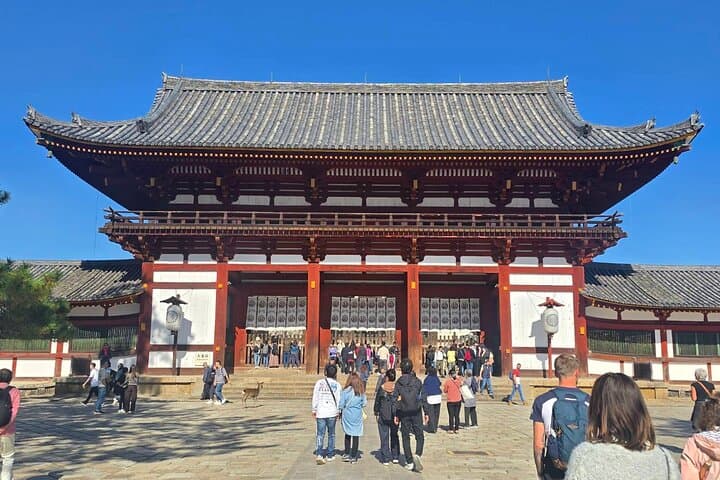 Nara Day Trip from Osaka – Local Japanese Experienced Guide — photo 11