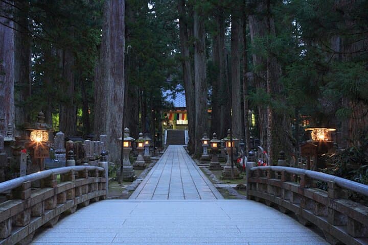 Private Customizable Day Tour in Kyoto Koyasan and Osaka — photo 3
