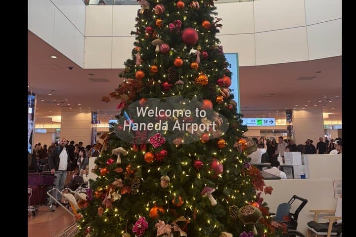 Haneda Airport Private Transfer – Luxury Car & Meet & Greet — photo 2
