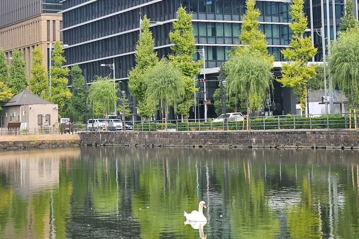 Tokyo: Imperial Palace and Shogun Storytelling Walk — photo 8