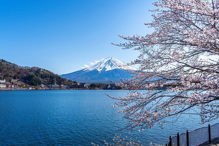 Shore Excursion Private Mt Fuji and Hakone Tour from Shimizu Port — photo 10