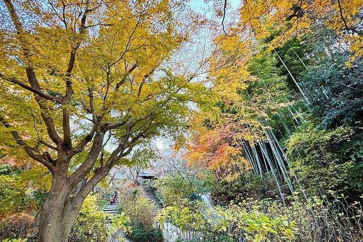 Tailored private Walking Tour in Kamakura with a Local Guide — photo 12