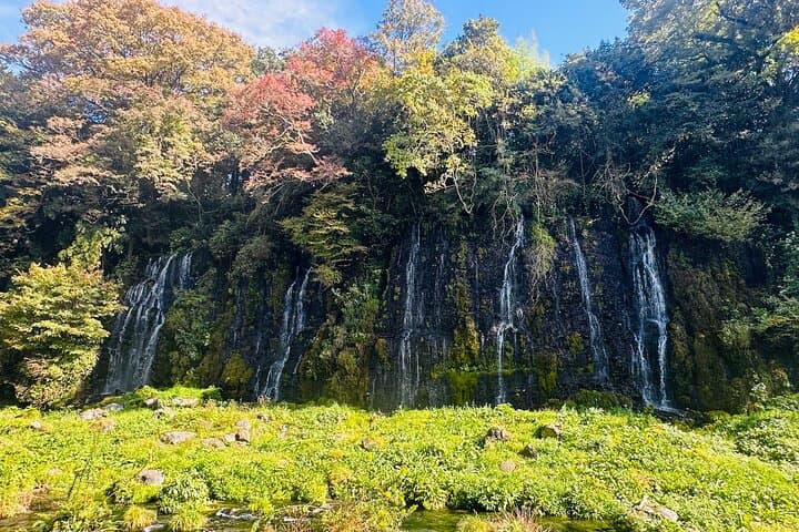 Fuji Highlights Group Car Tour by Shimizu Port with Local Guide — photo 11