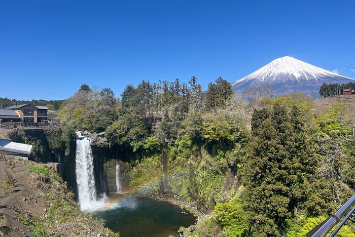 Fuji Highlights Group Car Tour by Shimizu Port with Local Guide — photo 14