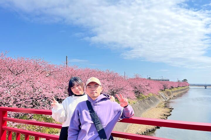 Ultimate View Izu Car Tour with Hotel Pickup and Local Guide — photo 7