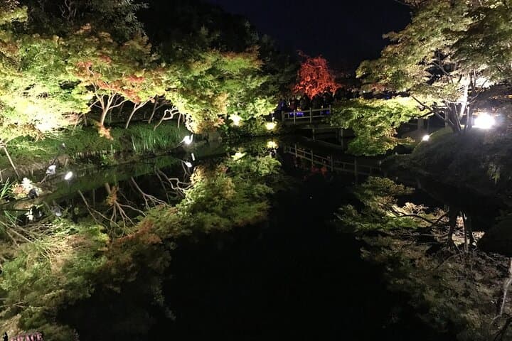 Nagoya Nagashima Outlet Mall & Nabana no Sato Park Day Tour — photo 9