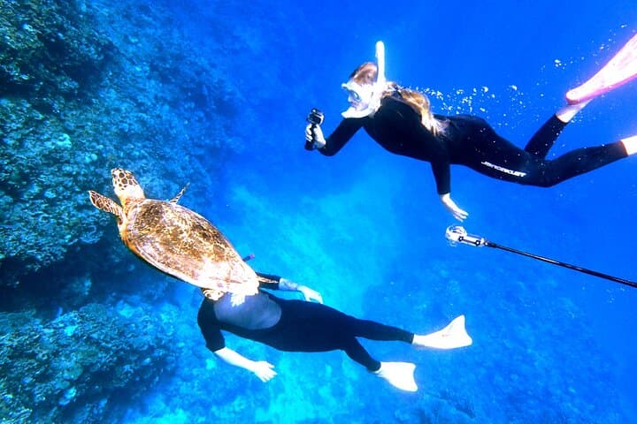 Okinawa/Naha:Full-Day Kerama Island Experience Diving/Snorkeling — photo 3