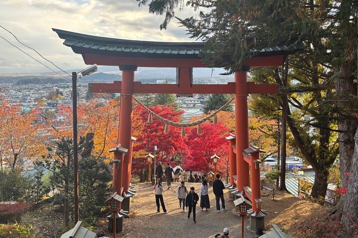 Spectacular Mt. Fuji and Lake Cruise, Noodles Making Experience — photo 14
