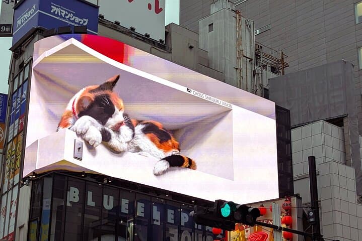 Silence, Gai Buzz: A Self Guided Shinjuku Walking Tour — photo 10
