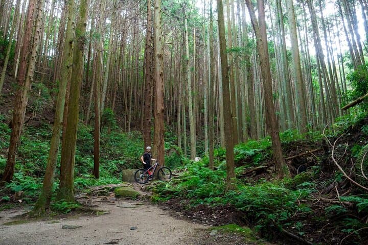 Half Day E Bike Tour in Kasagi Countryside — photo 3