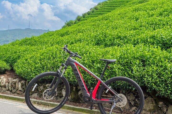 Half Day E Bike Tour in Kasagi Countryside — photo 6