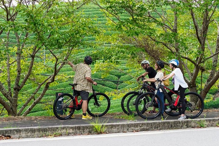 Full Day E Bike Tour through Kyotos Countryside — photo 4