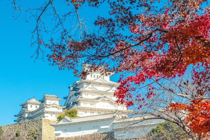 Half Day Tour in Himeji Castle and Koko-en — photo 5