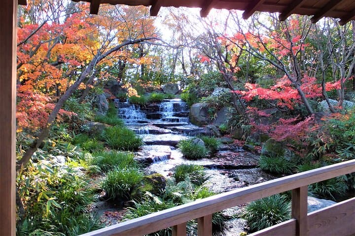 Half Day Tour in Himeji Castle and Koko-en — photo 3