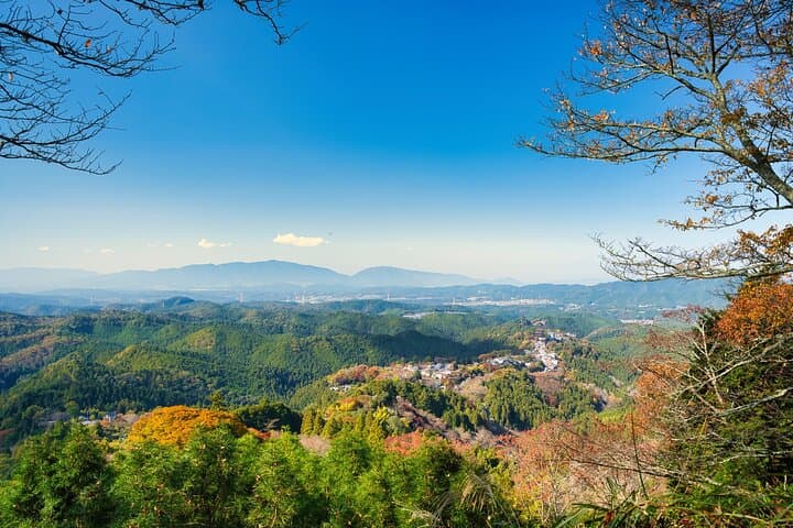 Historic and Natural Guided Hike in Yoshino — photo 11