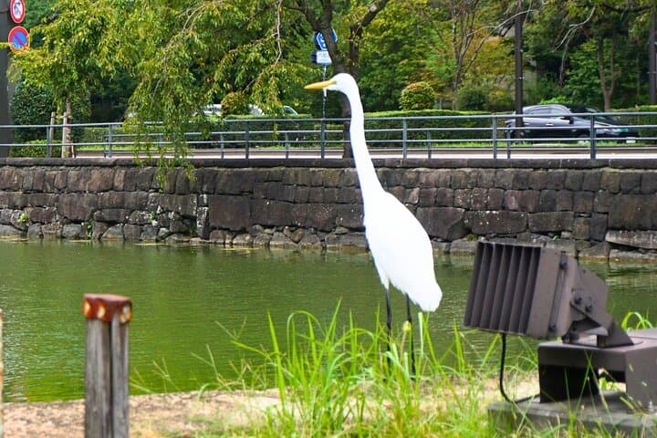 Tokyo Palais Impérial & Shoguns Visite à pied (Guide Français) — photo 7
