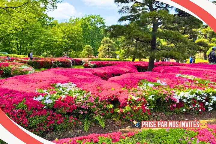 Tokyo Palais Impérial & Shoguns Visite à pied (Guide Français) — photo 18