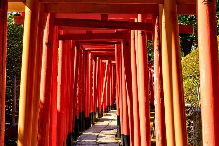 Tokyo Yanaka & Nezu: Old Town Streets, Temples & Culture — photo 2