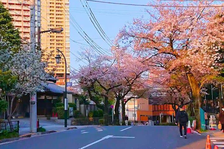 Tokyo Yanaka & Nezu: Old Town Streets, Temples & Culture — photo 12