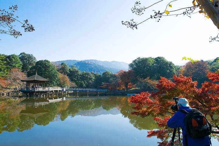 Todai-ji Temple & Nara Sake Tasting Walking Tour — photo 2